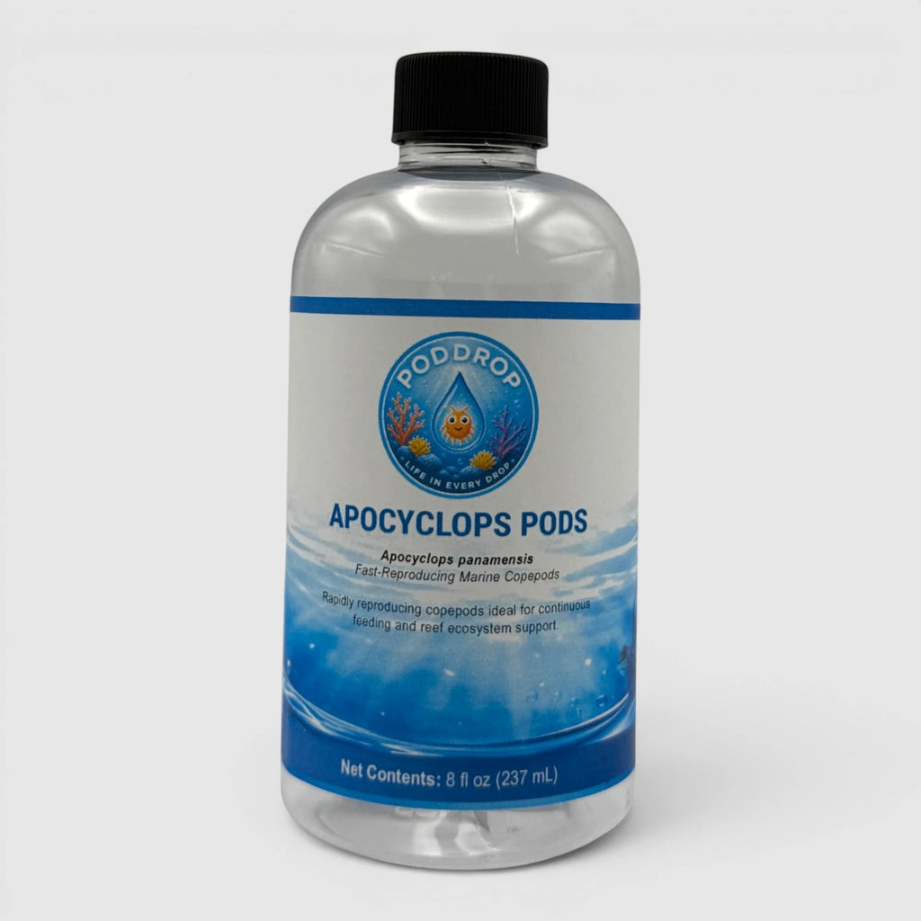 PodDrop Dino Recovery Bundle Phytoplankton Culture & Copepods