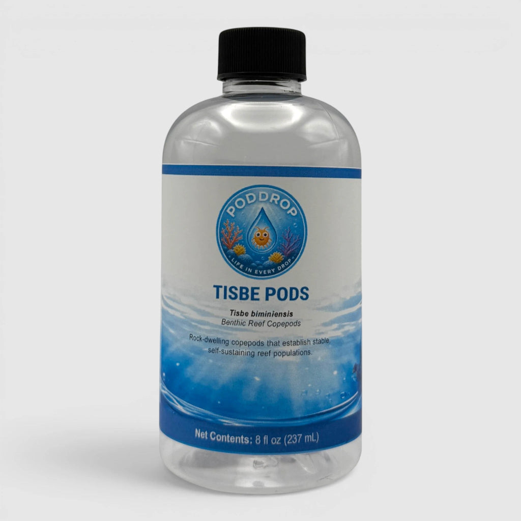 PodDrop Dino Recovery Bundle Phytoplankton Culture & Copepods