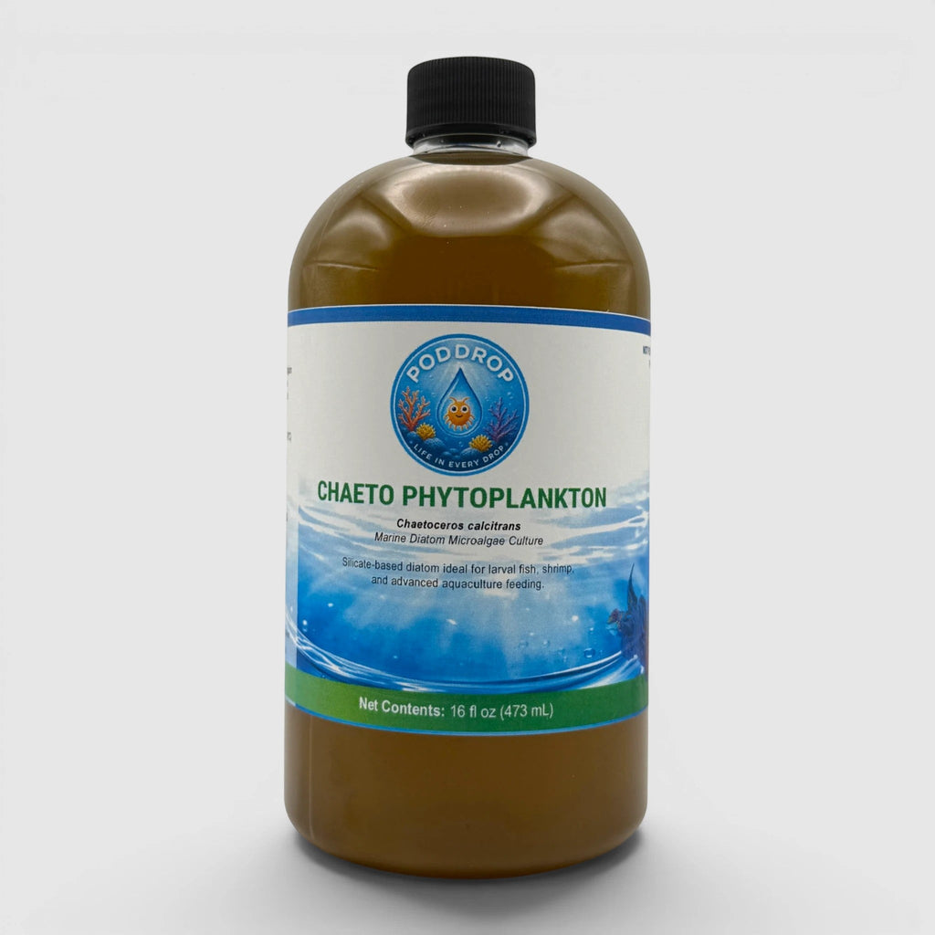 PodDrop Chaetoceros calcitrans Phytoplankton Culture