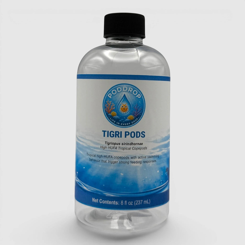 PodDrop Tigriopus sirindhornae Copepods