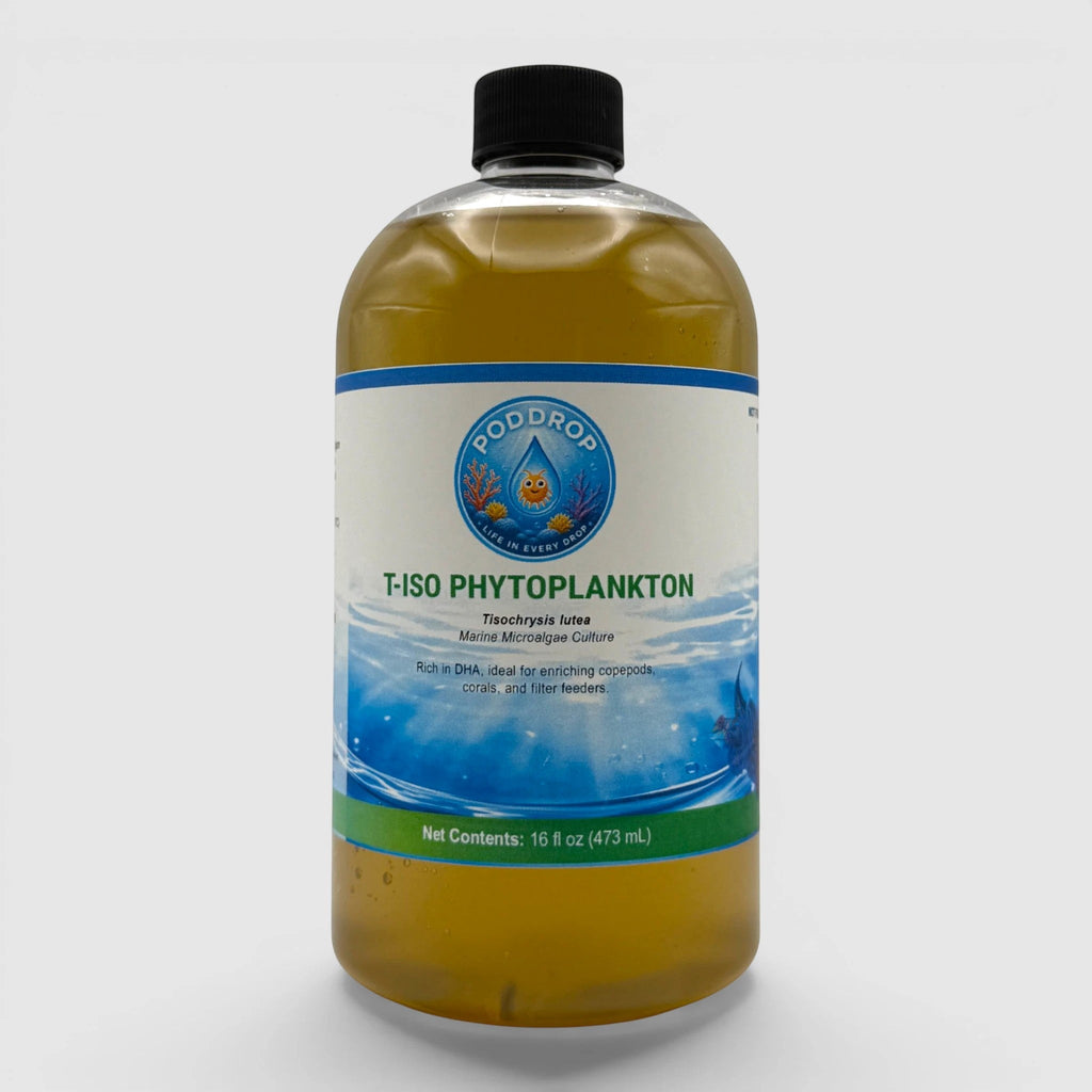 PodDrop Tisochrysis lutea Phytoplankton Culture