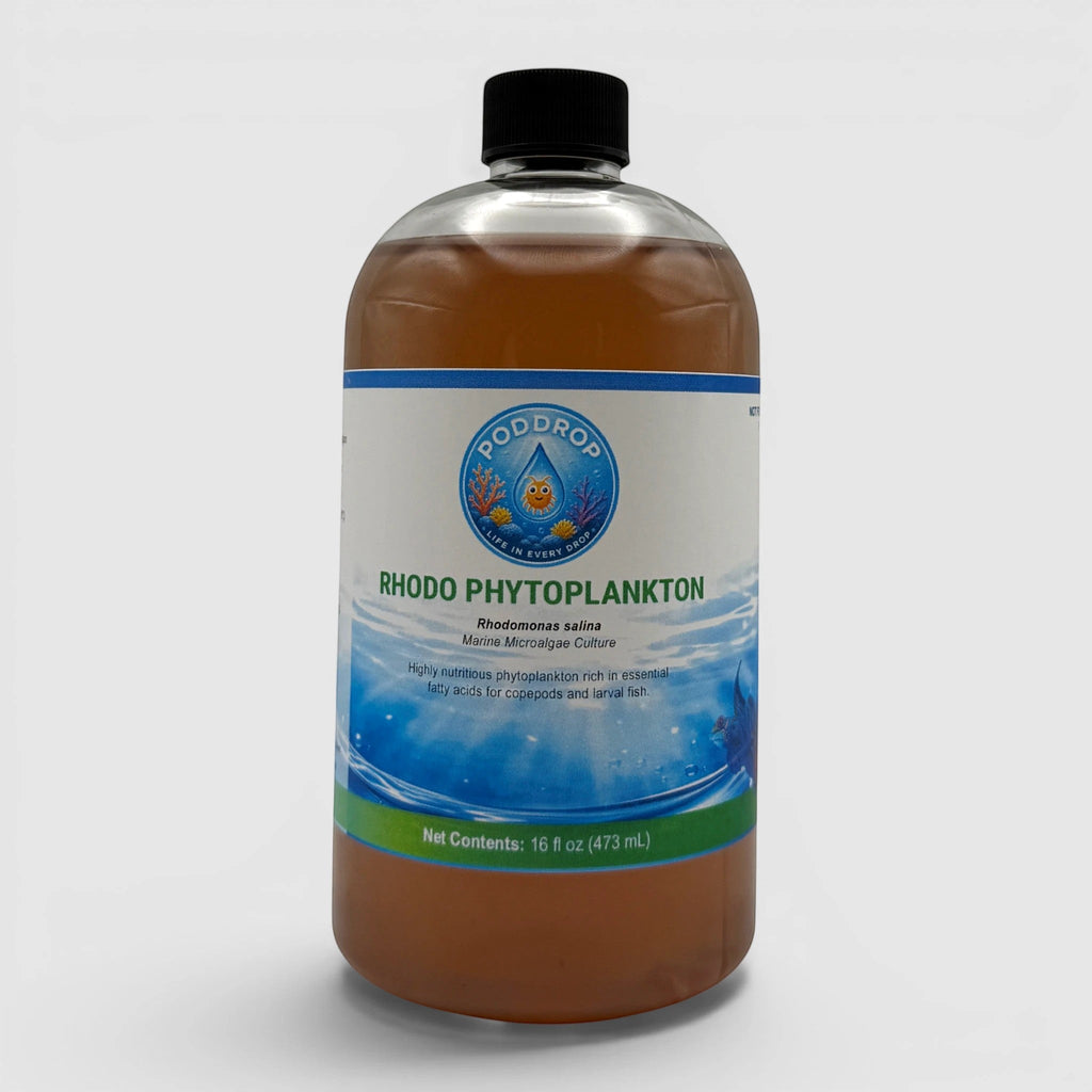 PodDrop Rhodomonas salina Phytoplankton Culture