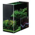 Dymax IQ9 Mini Drop-Off Aquarium – Freshwater Kit