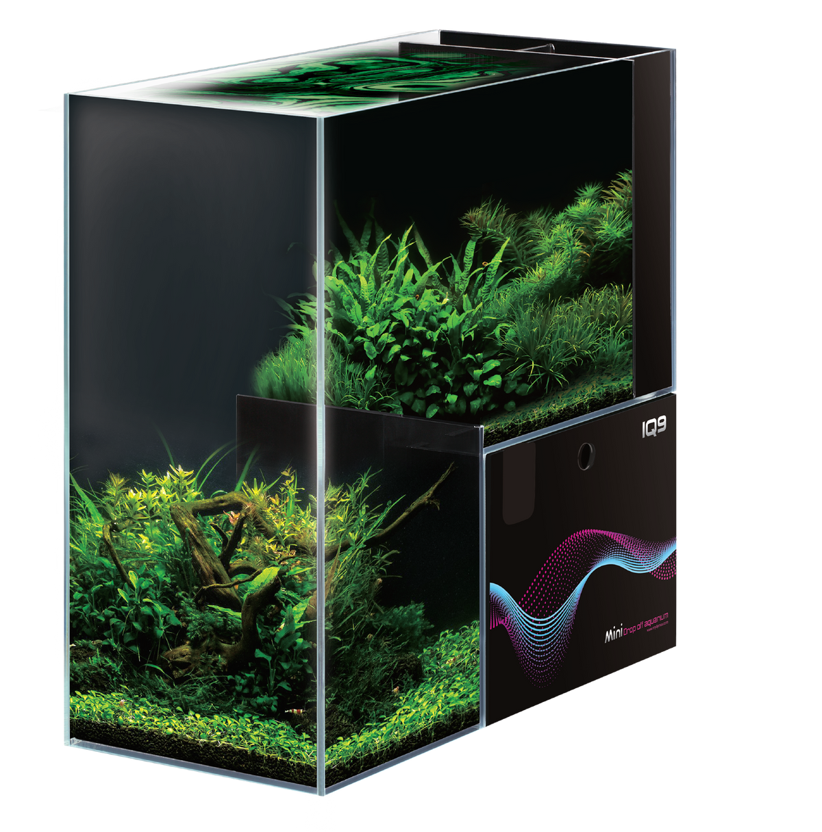 Dymax IQ9 Mini Drop-Off Aquarium – Freshwater Kit